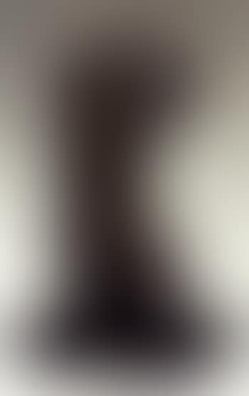 Torse de jeune femme (preview)