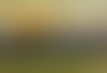 Coucher de soleil, Bazincourt (preview)