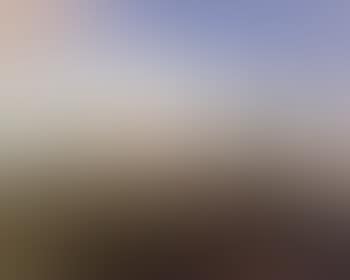 Les landes (preview)