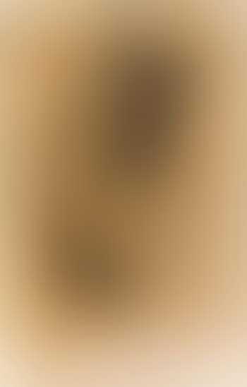 Study for the figure of Phyllis. Study for a female slave (preview)