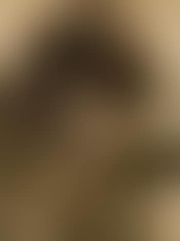 Study for one of the Gorgons in the finding of Perseus (preview)