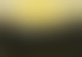 Twilight, the vegetable garden (preview)