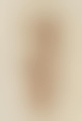 Female nude torso (preview)