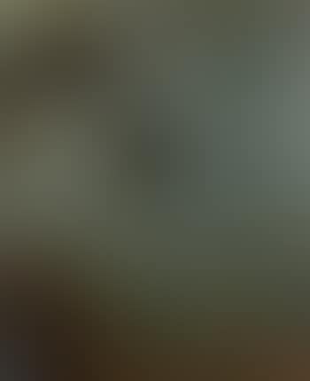 Recifs (preview)