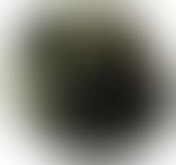 Concetto spaziale, natura (preview)