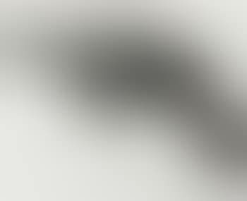 Gun (preview)