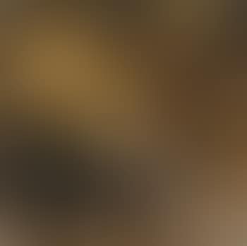 Orco (preview)