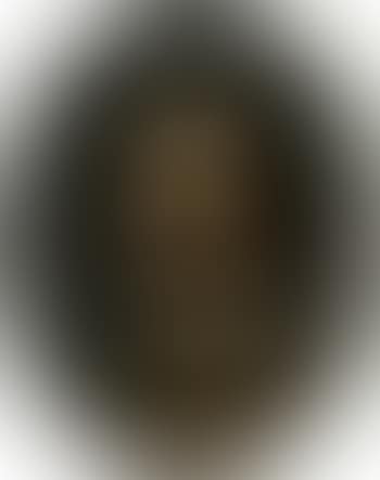 Portrait of a gentleman in a brown jacket (preview)