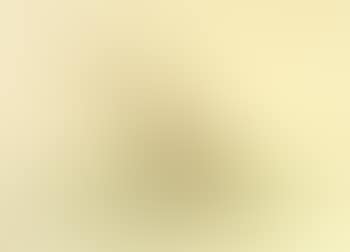 Newborn chick (preview)