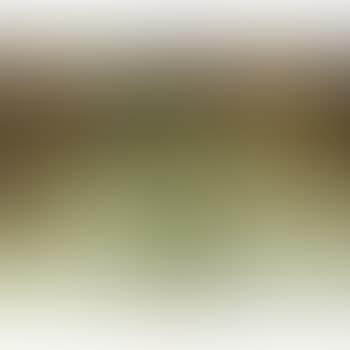 Still life (preview)