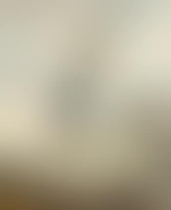 Dutch river landscape with spoonbill, stork, goose, and other birds (preview)