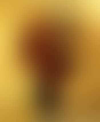 Vase de fleurs (preview)