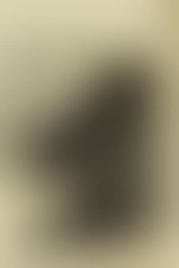 Femme assise (preview)