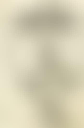 Lampe a petrole (preview)