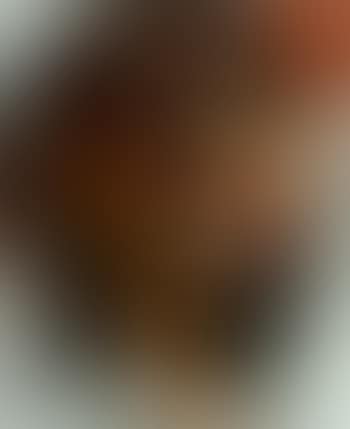 Figure (preview)