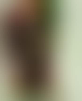 Workman smiling (preview)