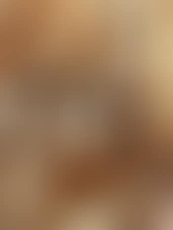Visit (preview)