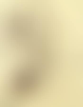 Study (preview)