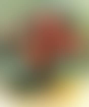 Still life of flowers, carnations in a yellow vase (preview)