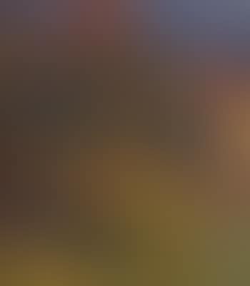 Extensive landscape (preview)