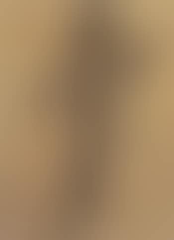 Study of Der Jungbrunnen (preview)