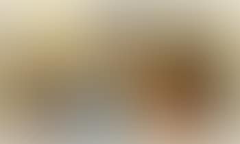 Rapt (preview)