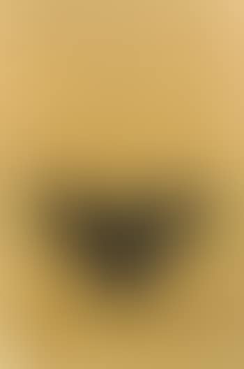 Coraux (preview)