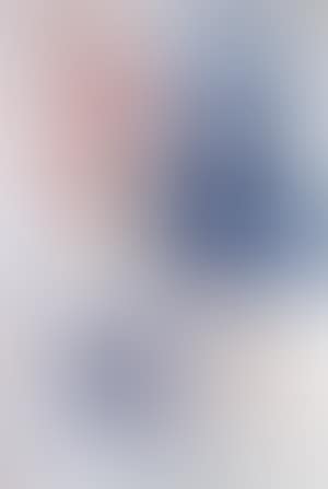 Les Pavots (preview)