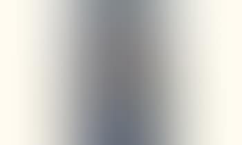 Fleurs dans un vase (preview)