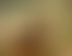 Sketch of two cows looking over a rail fence (preview)