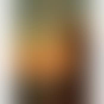 View of Venice in sunset (preview)