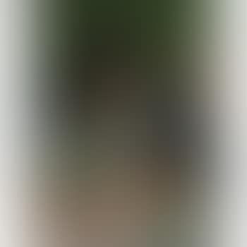 Cocktail time (preview)