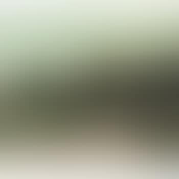 Paysage Provencal (preview)