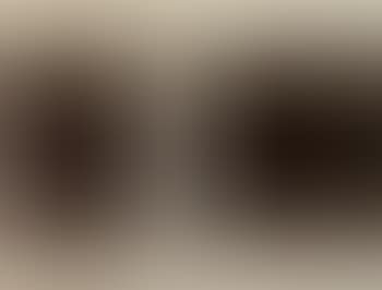 Light falling through a darl landscape (preview)