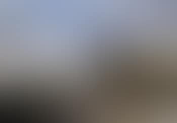 Venice, view of the Piazzetta looking towards Santa Maria della Salute (preview)