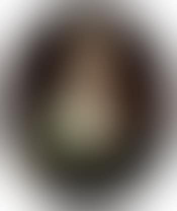 Portrait of Lady Dianna Feilding, in a white chemise and a green wrap (preview)