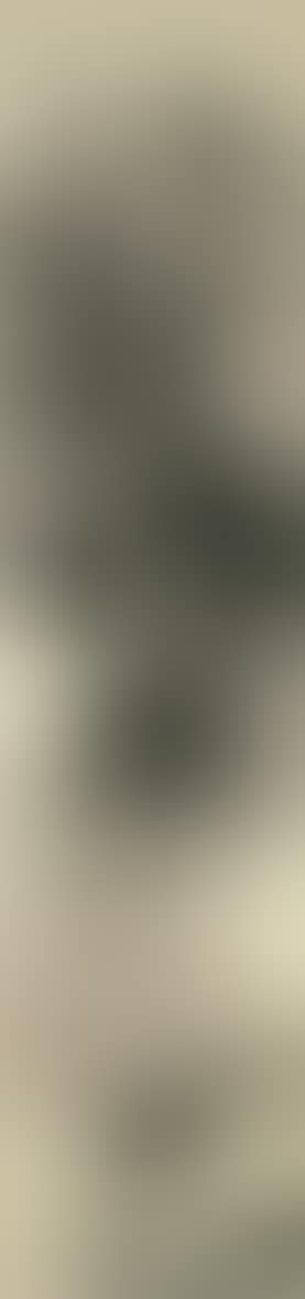 Landscape (preview)