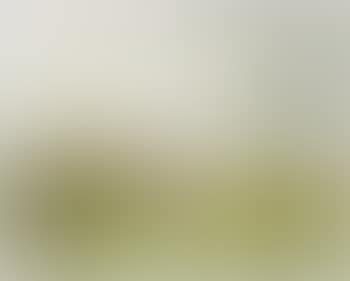 Landscape in Schleswig (preview)