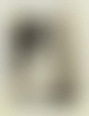 Female nude (preview)