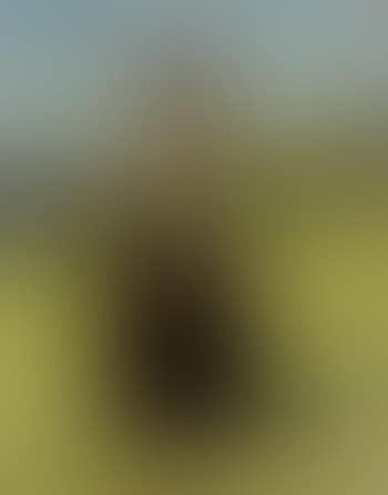 The milkmaid, possibly Torda Bjelle (preview)