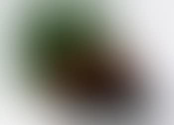 Composition (preview)
