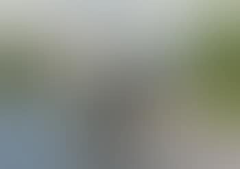 View from Aabo (preview)