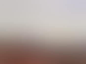 Palm Valley (preview)
