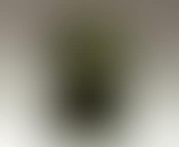 Portrait of Ann Freud (preview)