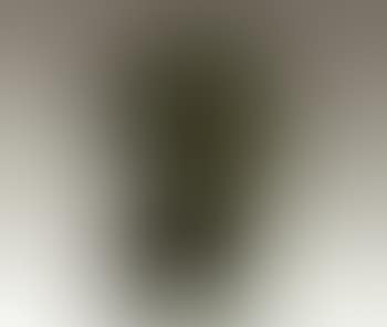 Portrait of Annabel Freud (preview)