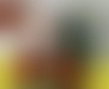 Figures (preview)