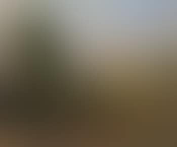Paysage avec maisons blanches a droite (preview)