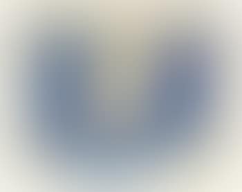 Figure bleu (preview)