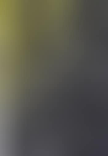 Abstract (preview)