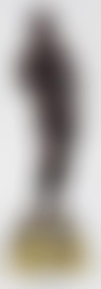 Venus de Medici (preview)